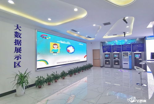 大數(shù)據(jù)賦能 都勻市稅務(wù)局構(gòu)建數(shù)據(jù)治稅、信息管稅與智慧服務(wù)新范式